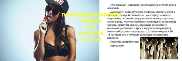 каннабис Арсеньев