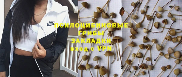 каннабис Арсеньев