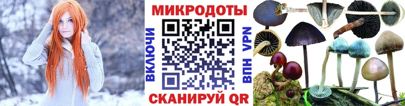 как найти наркотики  Асино  Псилоцибиновые грибы мухоморы 