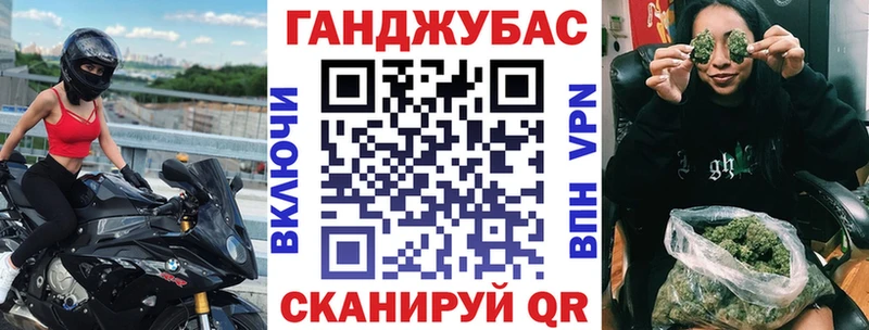 Канабис семена  Асино 